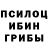 Псилоцибиновые грибы мицелий Aurimas Mazgeika