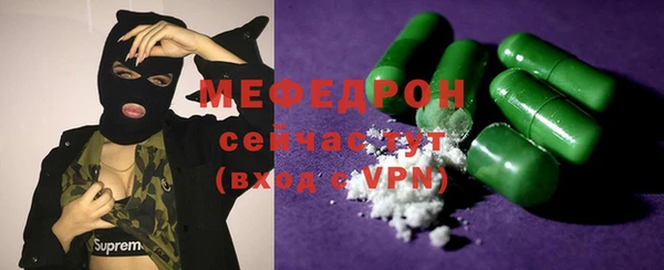 гидра Няндома