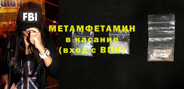 гидра Няндома
