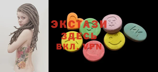 гидра Няндома
