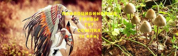 а пвп мука Баксан