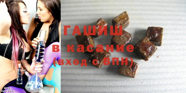 гидра Няндома