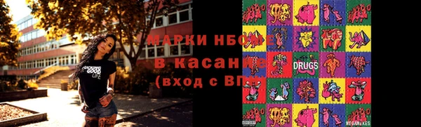 гидра Няндома